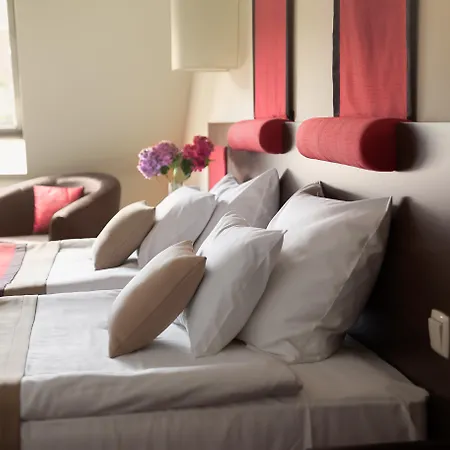 Rubin Wellness & Conference Hotel-3
